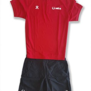 Conjunto de paseo. Polo-Pantalón